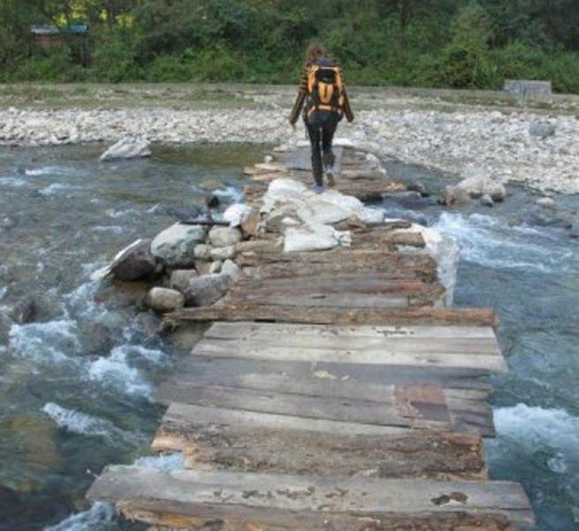 Elephant Brook Resort Rishikesh Bagian luar foto